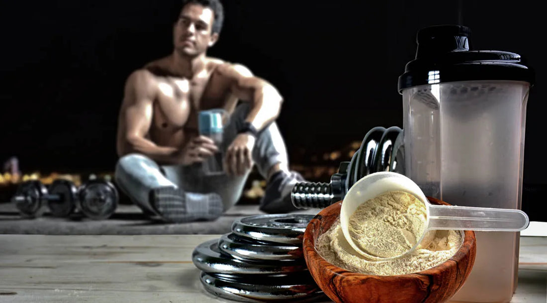 Post-Workout Recovery: Essential Supplements for Muscle Repair and Growth