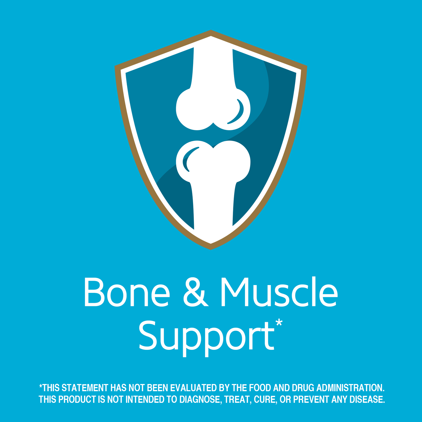 Magnesium 21st Century